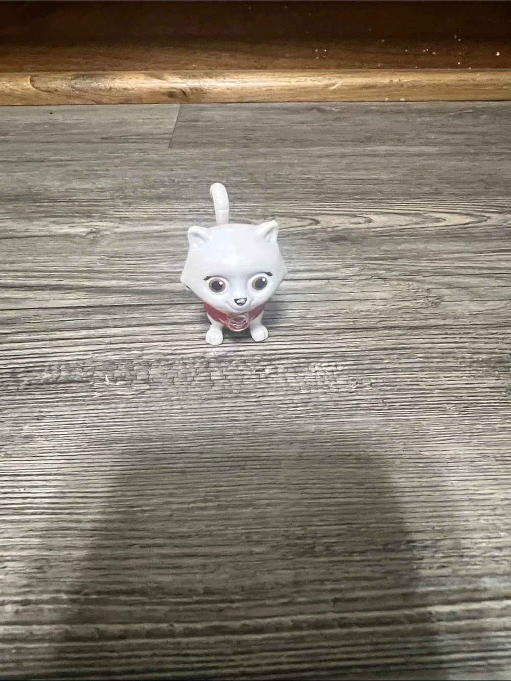 Paw Patrol Kitties - Picture 4 of 5